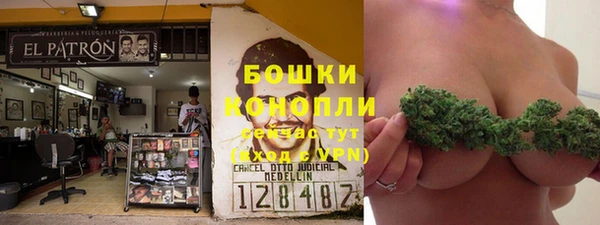 ГАЛЛЮЦИНОГЕННЫЕ ГРИБЫ Ельня