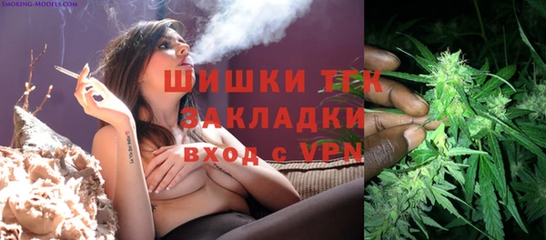 ГАЛЛЮЦИНОГЕННЫЕ ГРИБЫ Ельня