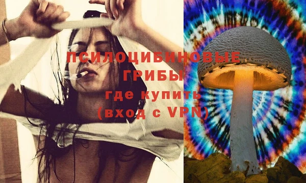 а пвп мука Заводоуковск