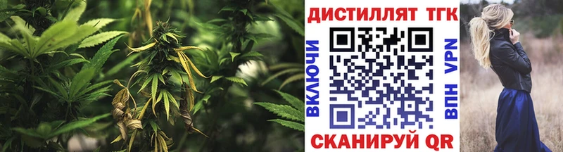 Купить  Заозёрный  Дистиллят ТГК THC oil 